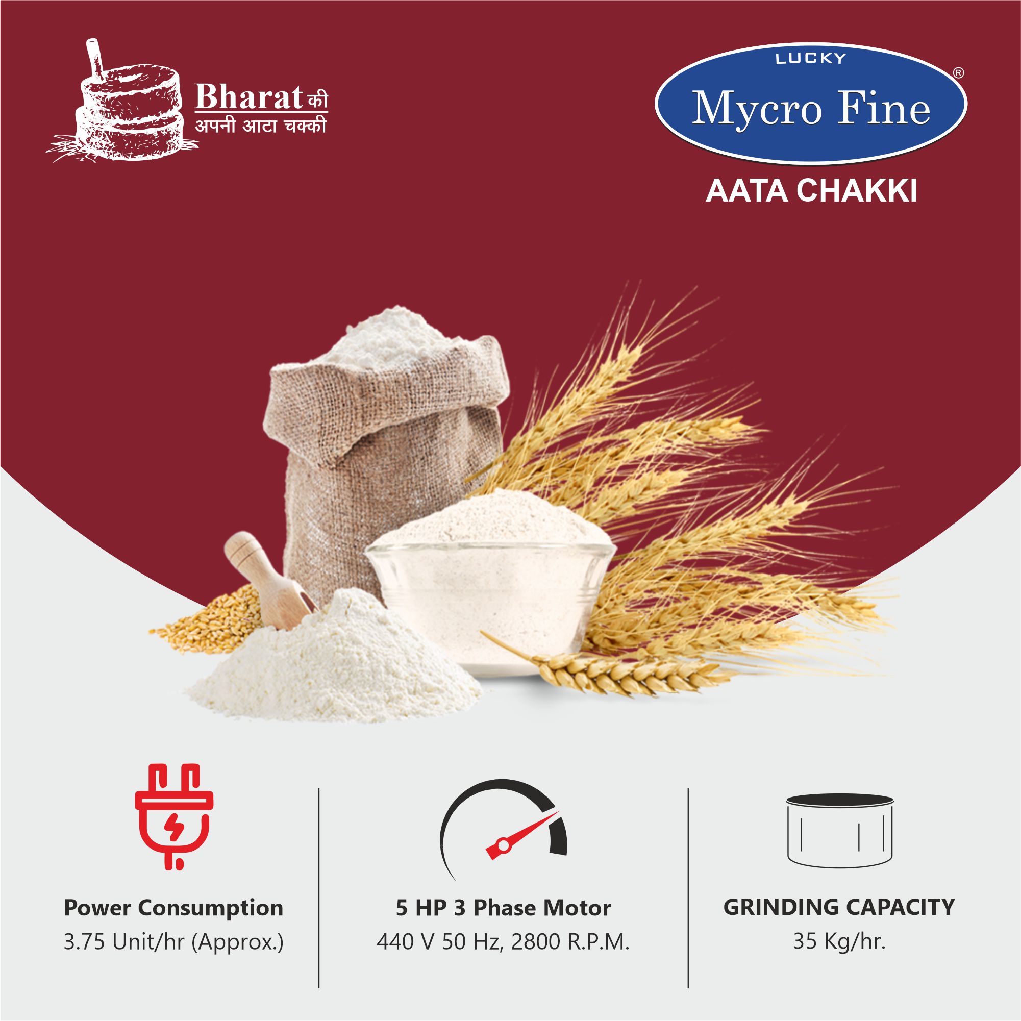 Mycrofine 5hp Aata Chakki