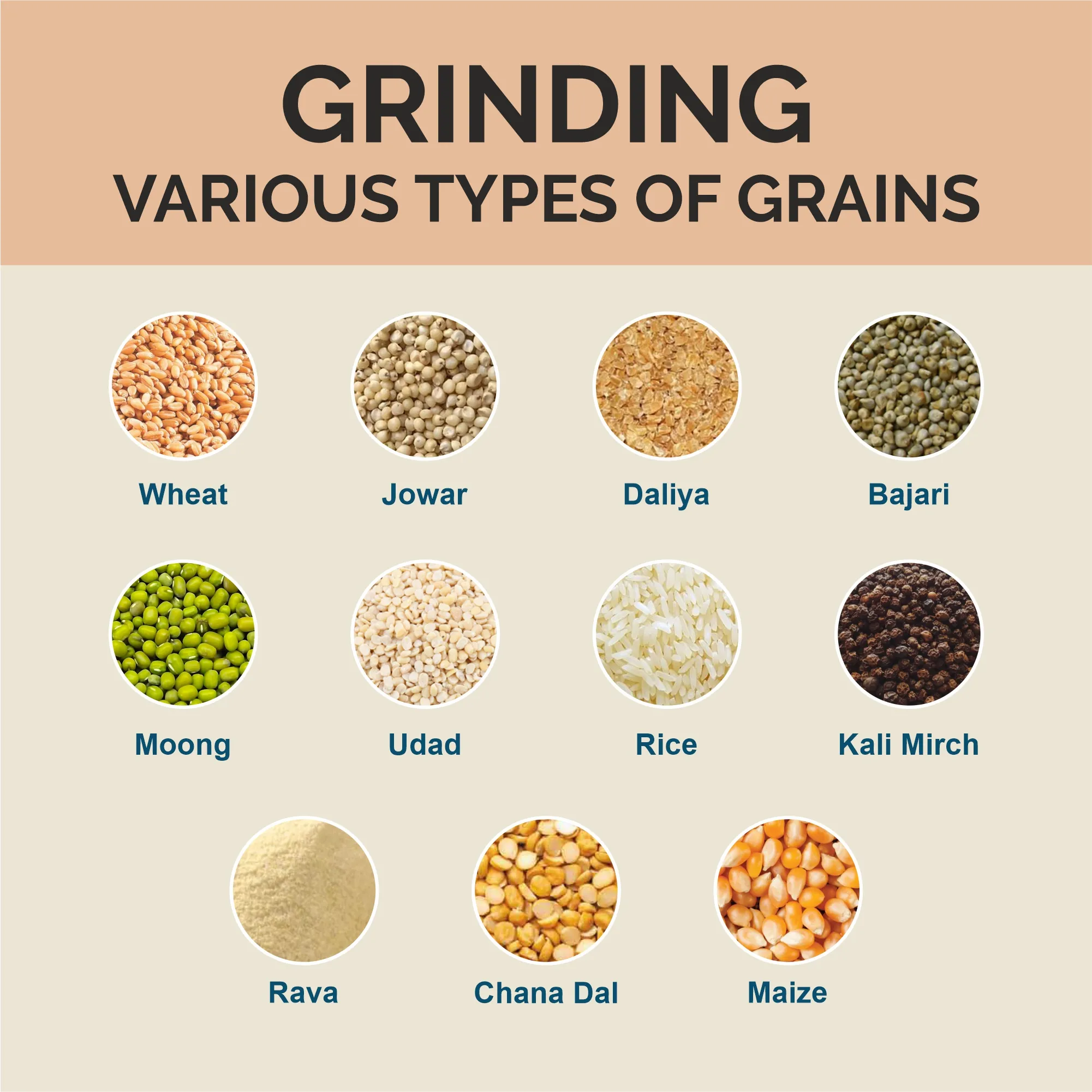 Mycrofine Neo Plus SS VC Aata Chakki