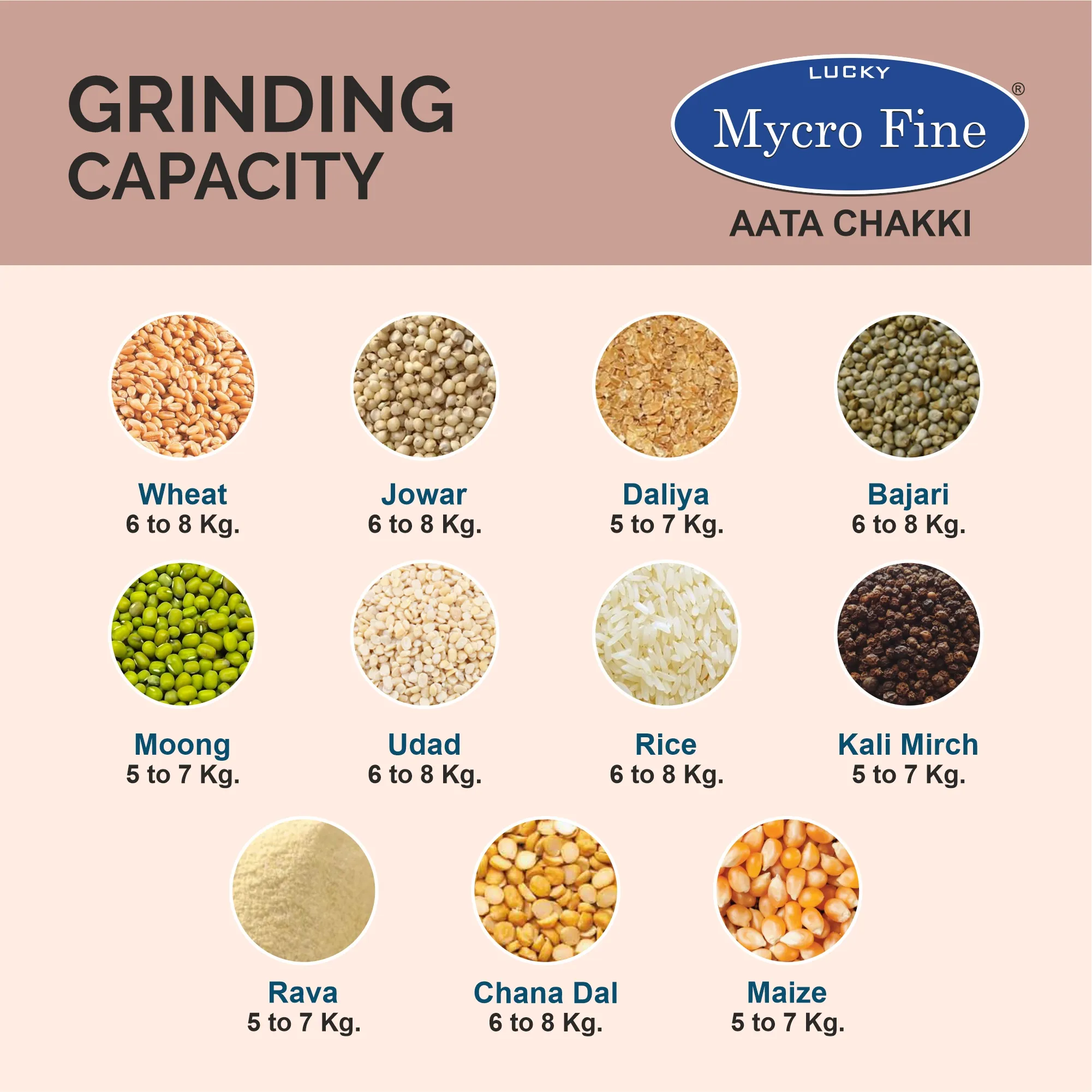 Mycrofine Neo Aata Chakki